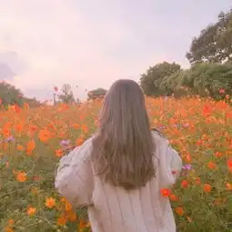 唯美好看有意境的微信女生头像微信头像我要个性网