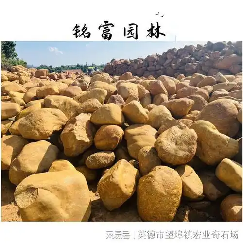 黄蜡石景观石应用指南,打造梦想的庭院生活