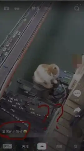 14岁少女直播怀孕生子虐待小动物为了红,快手抖音上的人已经疯了