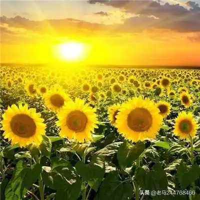 张山和张水小小说