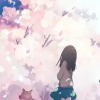 我姓白却拜托不了你的爱