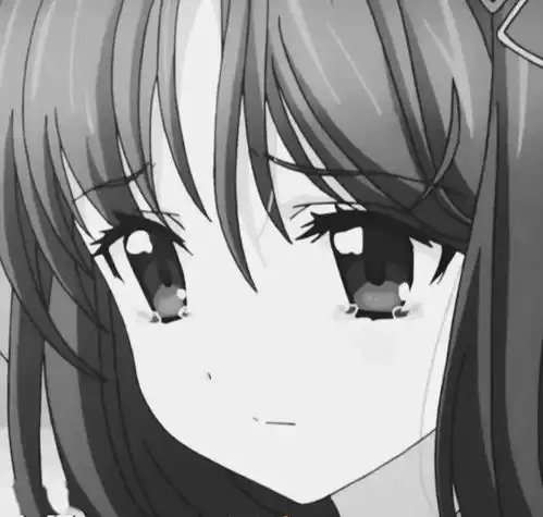 头像祝你前程似锦在冬深在初春在夏至在秋末