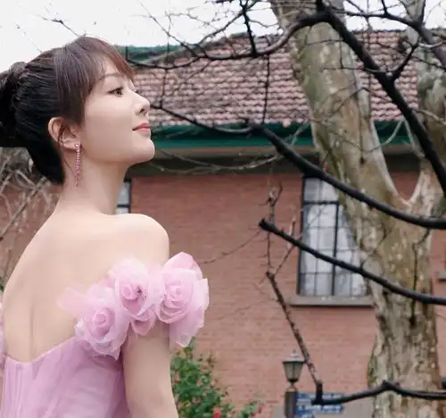 杨紫穿镶钻蕾丝露肩长裙好淑女,一字肩造型秀优越肩颈线