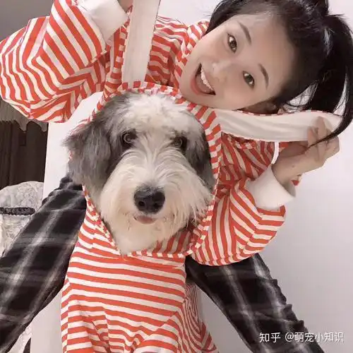 为什么女生都喜欢养公犬,难道狗界也有性别歧视