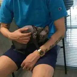 qq头像男生纹身霸气帅哥2018最新人人都善良却又彼此设防