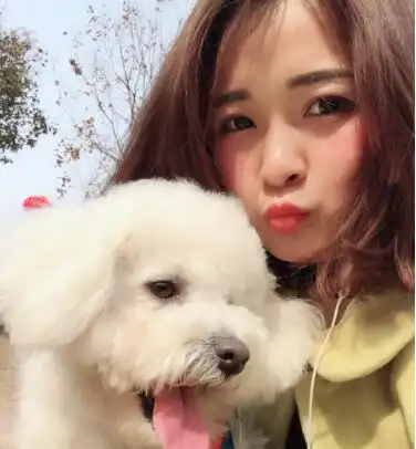 养狗有多快乐比熊的到来,让女孩重获了新生,还步入了婚姻殿堂