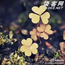 我们的爱情,回忆,也许是最美的结局