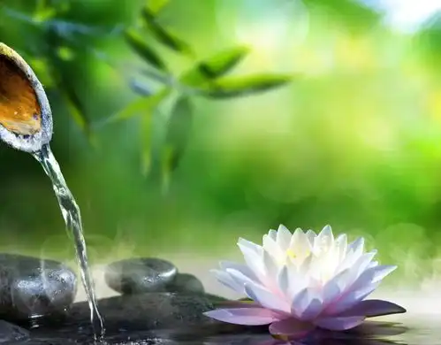 越活越幸福的人,都有这三个习惯