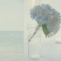 唯美头像图片清新简约