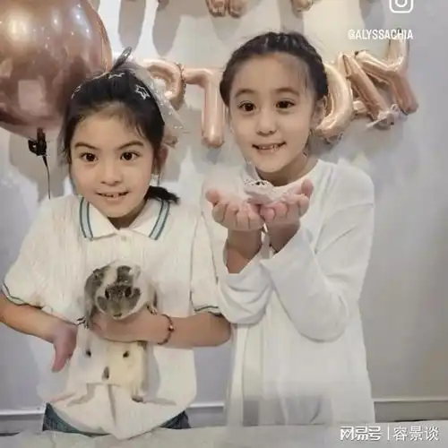 贾静雯为女儿庆生,8岁波妞手插兜神似妈妈一家四口长成两张脸