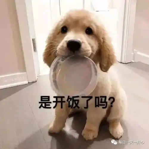 开心时刻,小舅子是个直男,给他安排的相亲,在游乐园他把女孩气哭了
