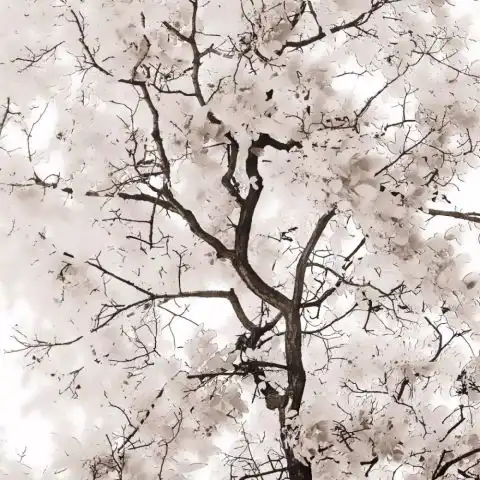 让自己成为作品的灵魂