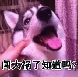2岁男童被狗咬掉睾丸狗患,其实是人祸