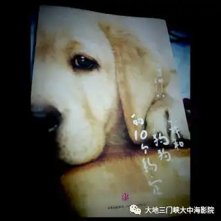 连续转发朋友圈三天,到大地影院任意消费,即可免费观影