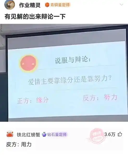 轻松一刻法国人天天两眼一睁就是惹韩国人生气