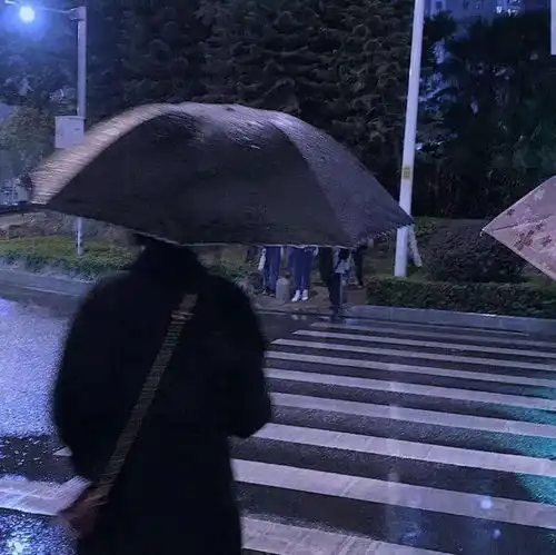 每日头像