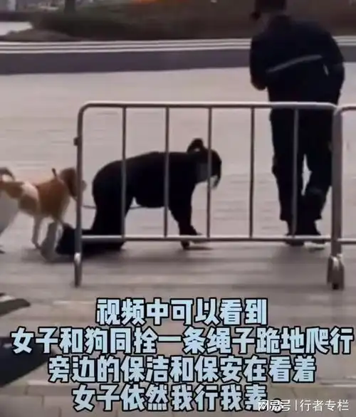 广东女子脖子上拴着狗绳,跪在地上与爱犬一起在马路上爬行