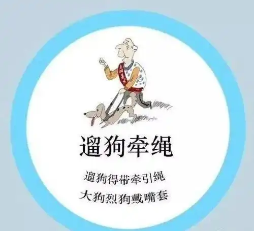 老人被狗绳绊倒身亡,小女孩冷漠离开,不会判刑但要承担民事责任