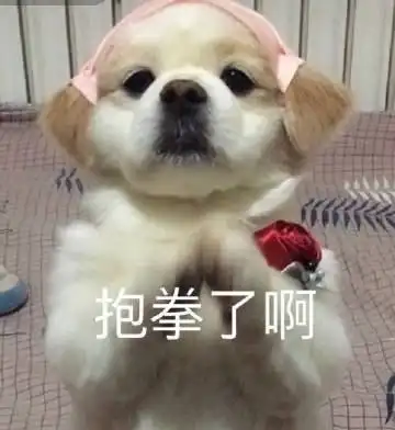 e句话看天下丨回家崩溃大哭的时候,有个狗狗安慰也好暖