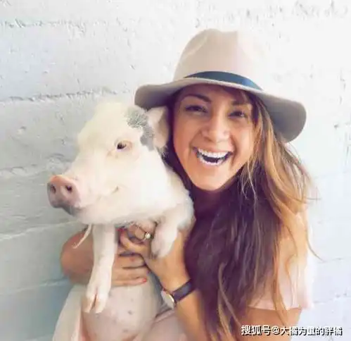 女子患有癫痫,宠物猪帮助它走出绝望,它还提前提醒女子吃药