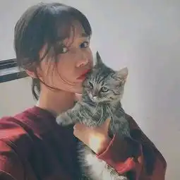 这张图片有情头吗