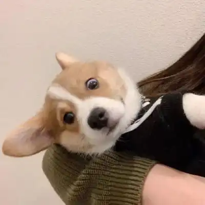 女生头像可爱萌卡哇伊萌小孩真人图片合集