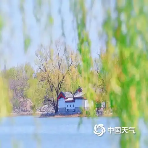 万紫千红总是春一组图看北京的春天到底有多美