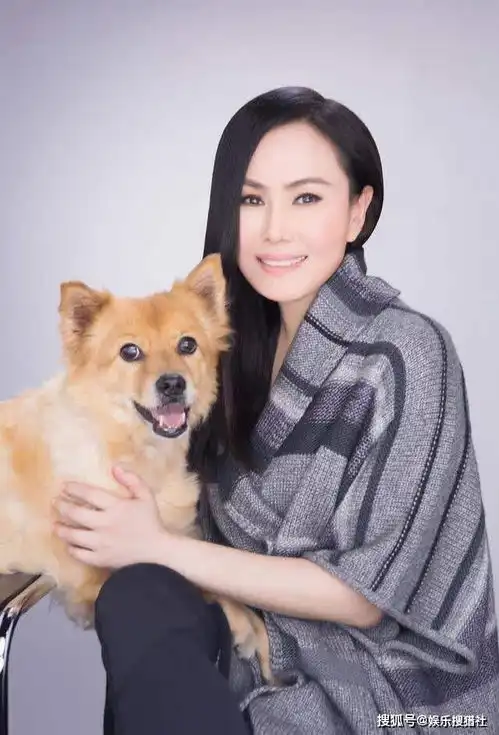 费玉清被日本女友邀请共浴,因害羞而拒绝,沐浴之王带你深度了解沐浴文化