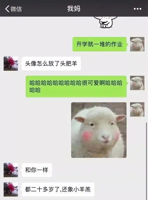 爸妈居然因为微信头像,要跟我断绝关系