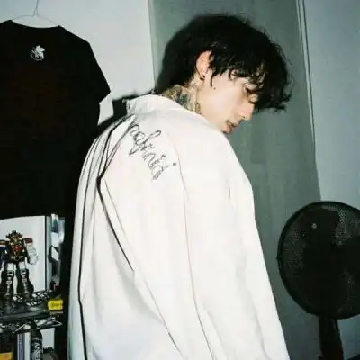 ins终究还是不敢拥有你