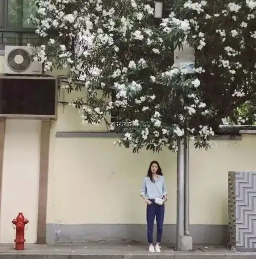 适合女生旅游使用的8个拍照姿势,拍好美翻朋友圈