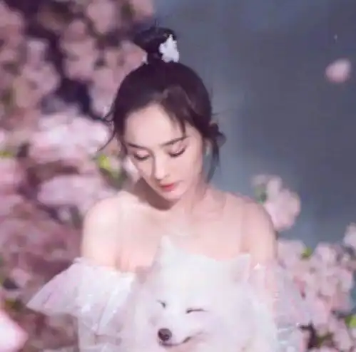 杨幂没演技9年前剧里一人分饰两角,不仅抬眼就可以认人还因此爆红