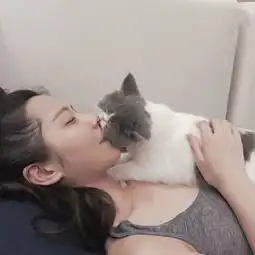 头像你不必那么冷淡我没想过要纠缠