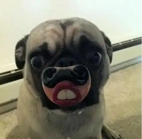 老婆刚上班走男子就现原形了竟然偷窥别的女人洗澡被抓