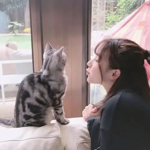 少女与猫头像黄灿灿