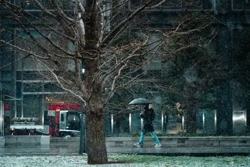 雪景高清摄影素材摄影图