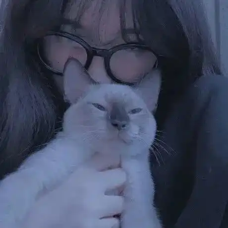 女生头像和神仙句子