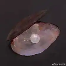 noip逼近的日常小仙女csdn博客