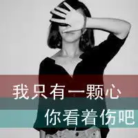失吾挚友