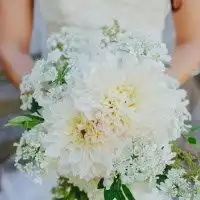 女人微信头像花朵图片唯美女生