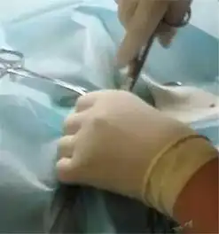 为了让狗狗有个健康的身体,主人给狗狗做了绝育手术,哪知术后狗狗却成了这样
