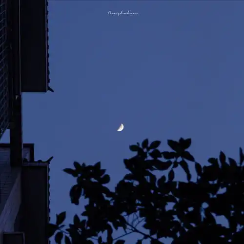一眼惊鸿的小说文案