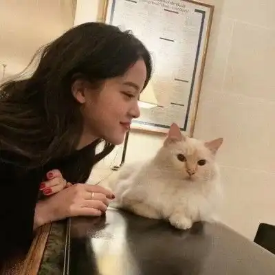 三观很简单的小文案