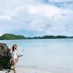 爱上上帝的水族箱帕劳详细攻略带大量图片及视频