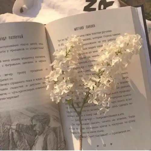 值得你抄下来的书摘文案