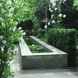院子里的水景,美到隔壁邻居都来翻墙看