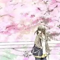 包包背橘子的文章本地宝自媒体