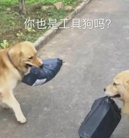 端妞唠嗑实录丨一起来治愈一下吧
