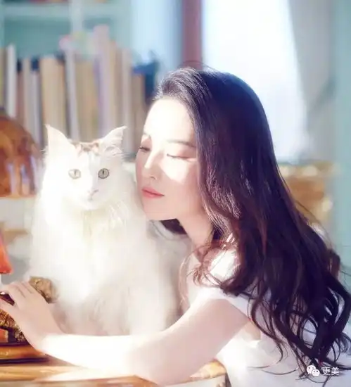 少女与猫头像侬好