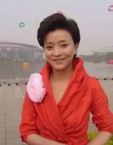 龙年春晚相声只留两个最令人难忘春晚女主持家居照
